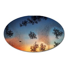 Hardest Frost Winter Cold Frozen Oval Magnet by Amaryn4rt