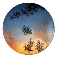 Hardest Frost Winter Cold Frozen Magnet 5  (round) by Amaryn4rt