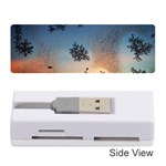 Hardest Frost Winter Cold Frozen Memory Card Reader (Stick)  Front