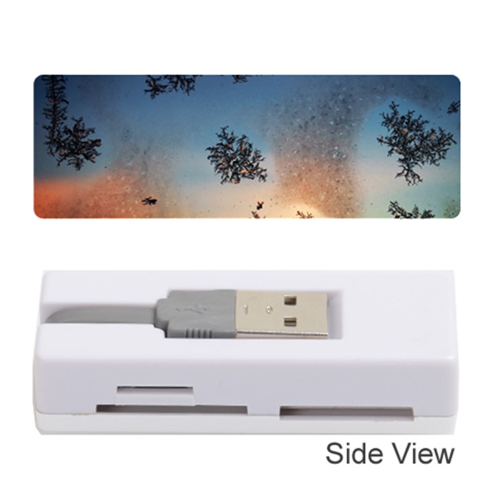 Hardest Frost Winter Cold Frozen Memory Card Reader (Stick) 