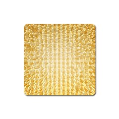 Pattern Abstract Background Square Magnet by Amaryn4rt