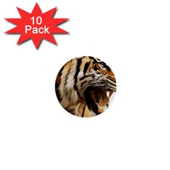 Royal Tiger National Park 1  Mini Buttons (10 Pack)  by Amaryn4rt