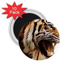 Royal Tiger National Park 2 25  Magnets (10 Pack)  by Amaryn4rt