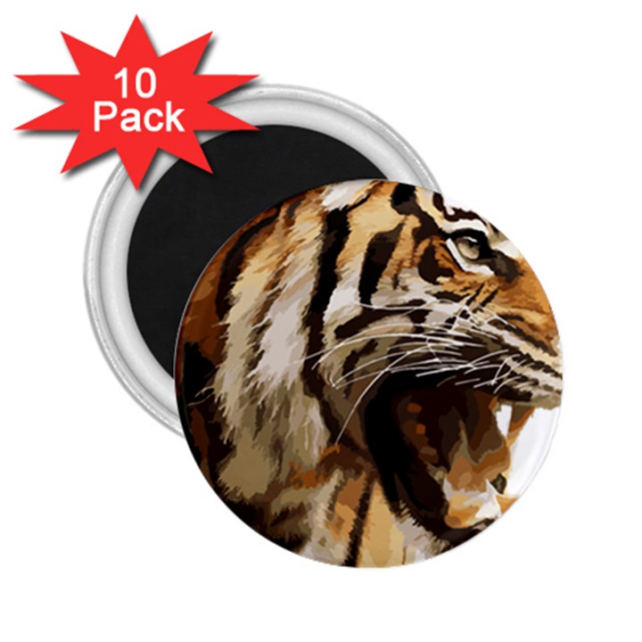 Royal Tiger National Park 2.25  Magnets (10 pack) 