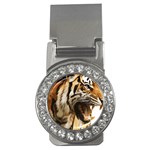 Royal Tiger National Park Money Clips (CZ)  Front