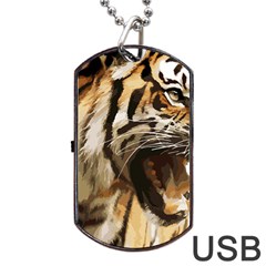 Royal Tiger National Park Dog Tag Usb Flash (one Side) by Amaryn4rt