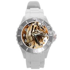 Royal Tiger National Park Round Plastic Sport Watch (l) by Amaryn4rt