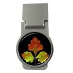 Autumn Beauty Money Clips (Round)  Front