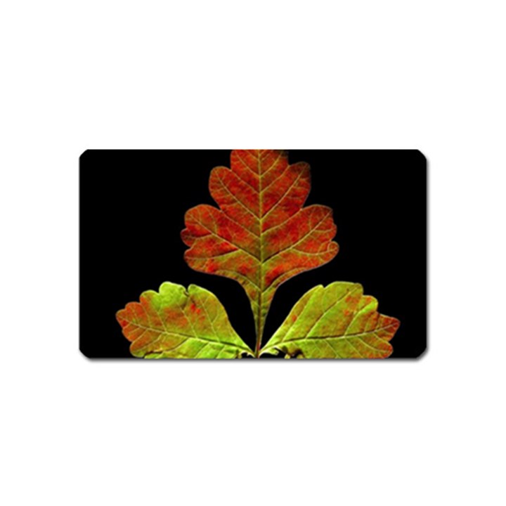 Autumn Beauty Magnet (Name Card)