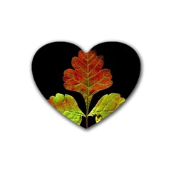 Autumn Beauty Heart Coaster (4 Pack)  by Nexatart