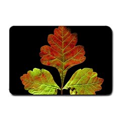 Autumn Beauty Small Doormat  by Nexatart