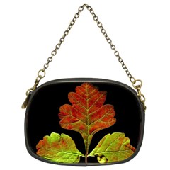 Autumn Beauty Chain Purses (two Sides)  by Nexatart