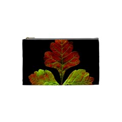 Autumn Beauty Cosmetic Bag (small)  by Nexatart