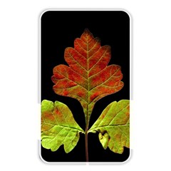 Autumn Beauty Memory Card Reader by Nexatart