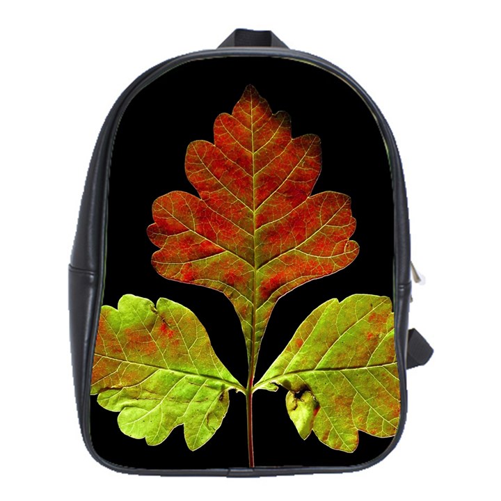 Autumn Beauty School Bags (XL) 