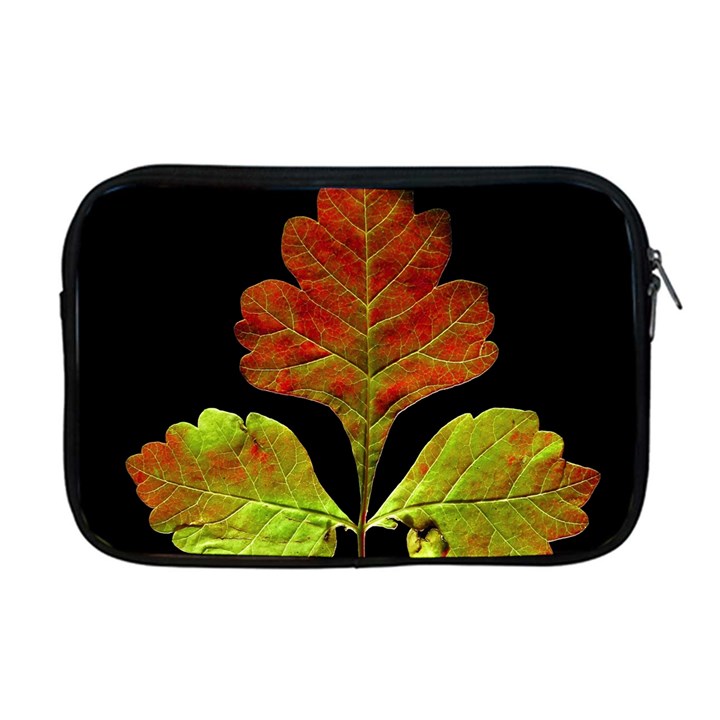 Autumn Beauty Apple MacBook Pro 17  Zipper Case