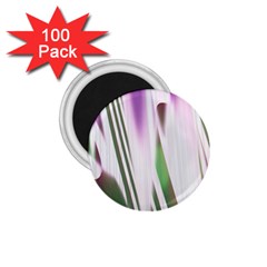 Colored Pattern 1 75  Magnets (100 Pack) 