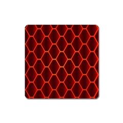 Snake Abstract Pattern Square Magnet by Nexatart