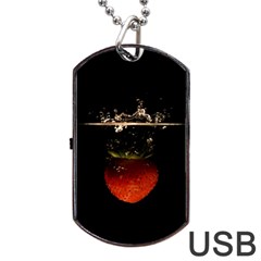 Strawberry Dog Tag Usb Flash (two Sides)