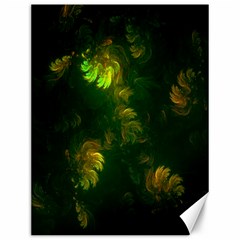 Light Fractal Plants Canvas 12  X 16   by Nexatart