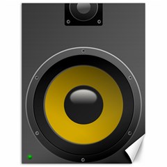 Audio Loadspeaker Activ Canvas 12  X 16   by Nexatart