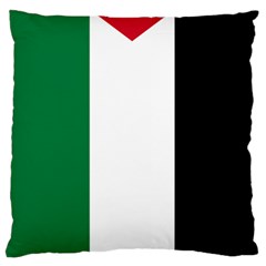 Palestine Flag Standard Flano Cushion Case (one Side) by Nexatart