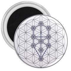 Tree Of Life Flower Of Life Stage 3  Magnets by Nexatart