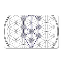 Tree Of Life Flower Of Life Stage Magnet (rectangular) by Nexatart