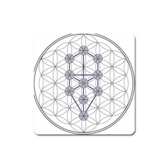 Tree Of Life Flower Of Life Stage Square Magnet by Nexatart