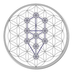 Tree Of Life Flower Of Life Stage Magnet 5  (round) by Nexatart