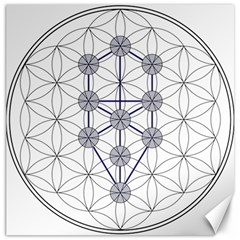 Tree Of Life Flower Of Life Stage Canvas 16  X 16   by Nexatart