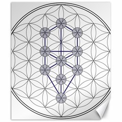 Tree Of Life Flower Of Life Stage Canvas 20  X 24   by Nexatart