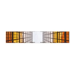 Architecture Facade Buildings Windows Flano Scarf (mini) by Nexatart