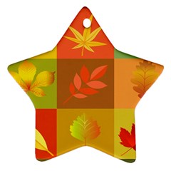 Autumn Leaves Colorful Fall Foliage Star Ornament (two Sides) by Nexatart