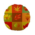 Autumn Leaves Colorful Fall Foliage Standard 15  Premium Round Cushions Back