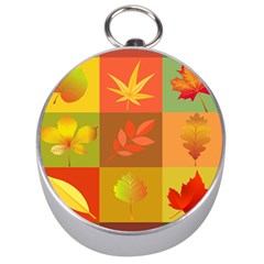 Autumn Leaves Colorful Fall Foliage Silver Compasses by Nexatart