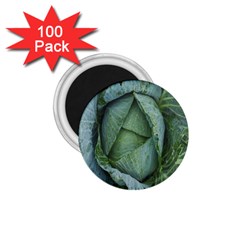 Bright Cabbage Color Dew Flora 1 75  Magnets (100 Pack)  by Nexatart