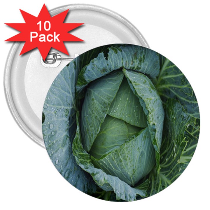 Bright Cabbage Color Dew Flora 3  Buttons (10 pack) 