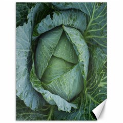 Bright Cabbage Color Dew Flora Canvas 12  X 16   by Nexatart