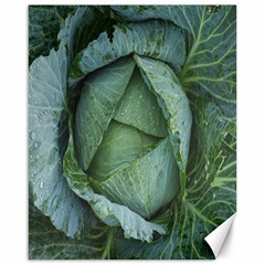 Bright Cabbage Color Dew Flora Canvas 16  X 20   by Nexatart