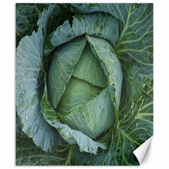 Bright Cabbage Color Dew Flora Canvas 20  X 24   by Nexatart