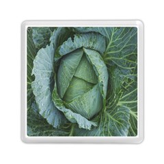 Bright Cabbage Color Dew Flora Memory Card Reader (square)  by Nexatart