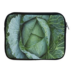 Bright Cabbage Color Dew Flora Apple Ipad 2/3/4 Zipper Cases by Nexatart