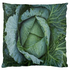 Bright Cabbage Color Dew Flora Large Flano Cushion Case (two Sides) by Nexatart