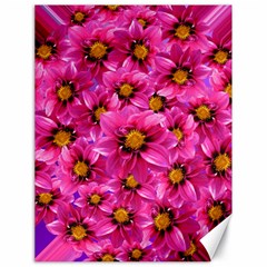 Dahlia Flowers Pink Garden Plant Canvas 18  X 24  