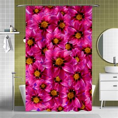 Dahlia Flowers Pink Garden Plant Shower Curtain 48  X 72  (small)  by Nexatart