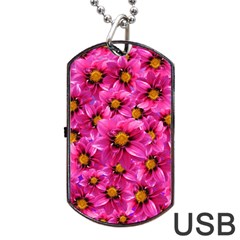 Dahlia Flowers Pink Garden Plant Dog Tag Usb Flash (two Sides) by Nexatart