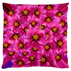 Dahlia Flowers Pink Garden Plant Large Cushion Case (two Sides) by Nexatart