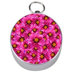 Dahlia Flowers Pink Garden Plant Silver Compasses by Nexatart