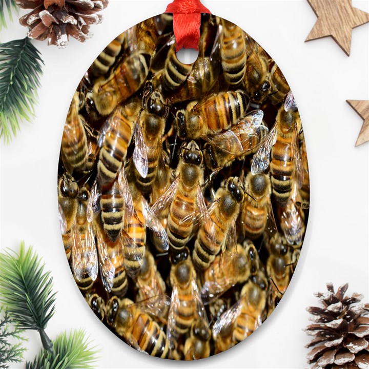 Honey Bee Water Buckfast Ornament (Oval)